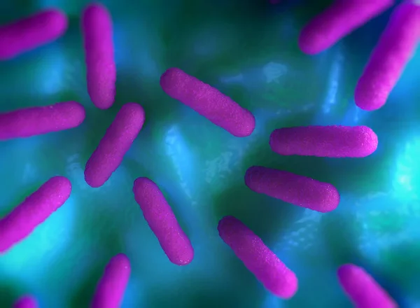 Salmonella Typhimurium Bakterisine Yakın Çekim — Stok fotoğraf