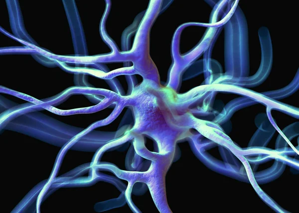 Sinir sisteminin bir kısmını oluşturan nöron veya sinir hücreleri elektriksel ve kimyasal sinyallerle bilgi iletir ve işler..