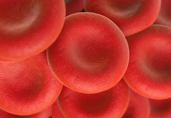 Κλείσιμο Των Ερυθρών Αιμοσφαιρίων — Φωτογραφία Αρχείου