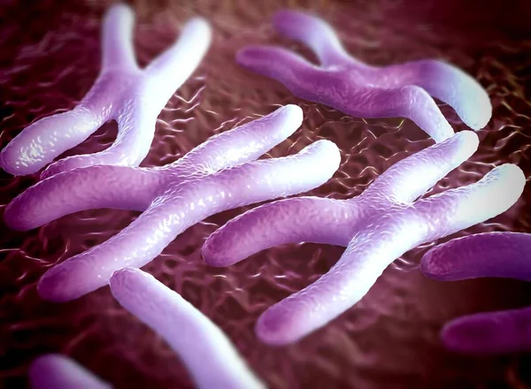 Kromozomlar genetik materyal DNA 'sının bir paketlenmiş halidir.