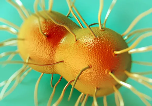 ネイセリア ゴノロリア バクテリア アートワーク — ストック写真