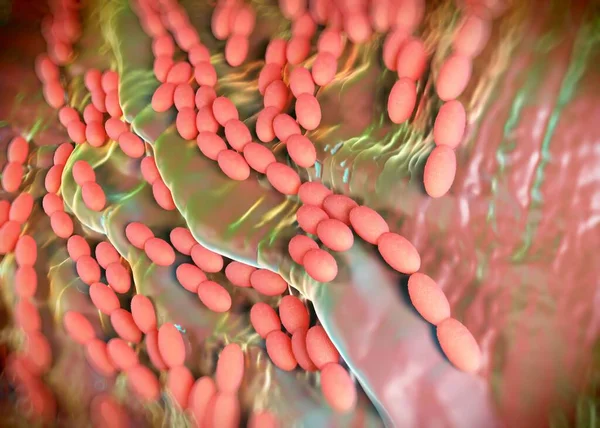 3D görüntüleme - asetobacter bakteri