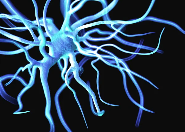 Нейроны Нервные Клетки Которые Являются Частью Нервной Системы Которые Обрабатывают — стоковое фото