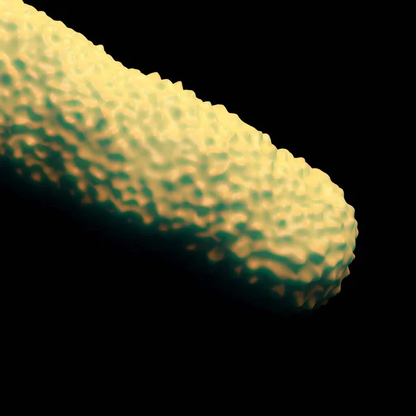 Abbildung Von Bakterienzellen — Stockfoto
