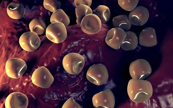  Bilinen Anter ve polen