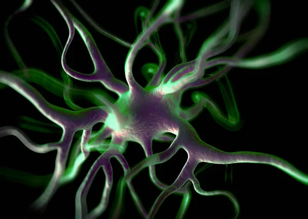 Нейрон Або Нервові Клітини Які Частиною Нервової Системи Яка Обробляє — стокове фото