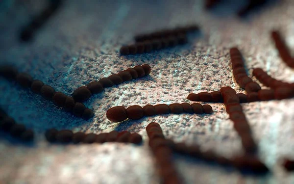 Streptococcus Pneumoniae Пневмококк Является Грамположительной Кокки Форме Патогенных Бактерий Которая — стоковое фото
