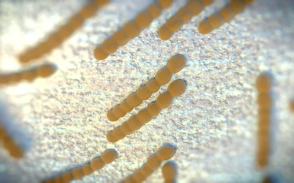 Streptococcus Pneumoniae Gram Pozitif Koküs Şekilli Patojenik Bakteridir Zatürreye Olarak — Stok fotoğraf