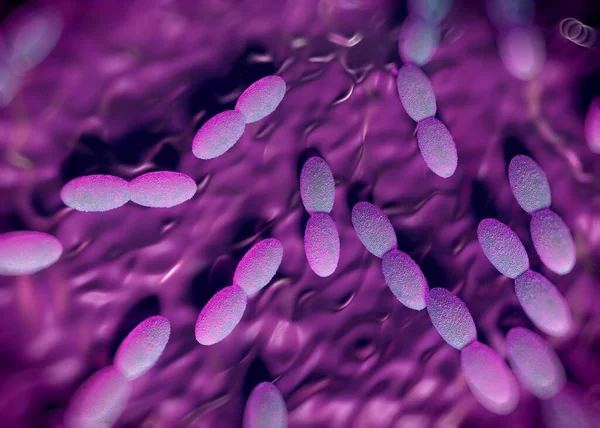 3D görüntüleme - asetobacter bakteri