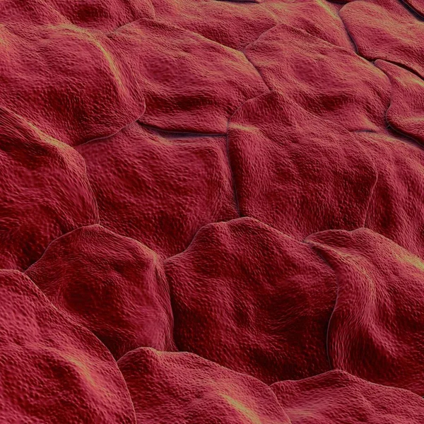 Human Skin Closeup View — 图库照片