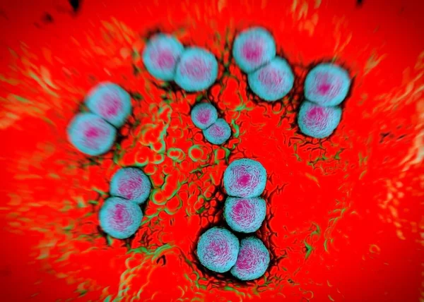 3Dレンダリング ネイセリアの淋病菌 — ストック写真