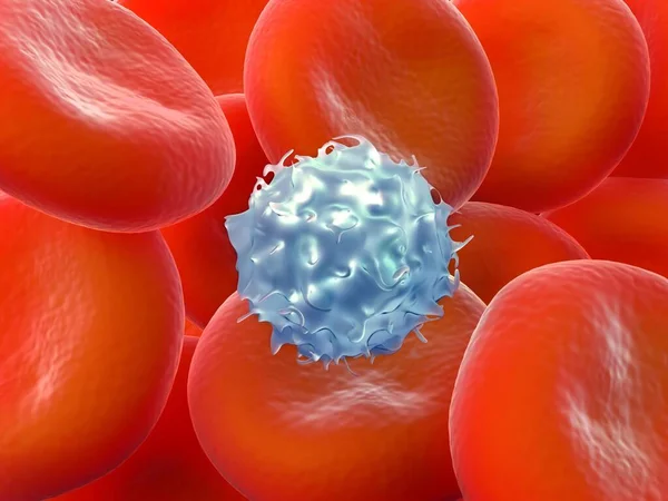 3d illustration - Human red blood cells