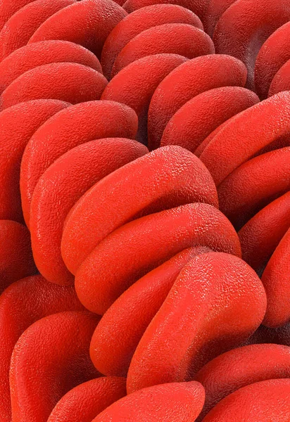 红血球的特写 — 图库照片