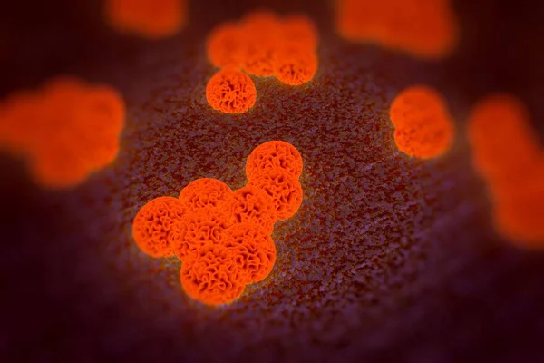 メチシリン耐性黄色ブドウ球菌 MrsaまたはSuperbug ヒトにおけるいくつかの治療が困難な感染症の原因菌である — ストック写真