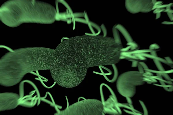 Primer Plano Bacteria Helicobacter Pylori — Foto de Stock