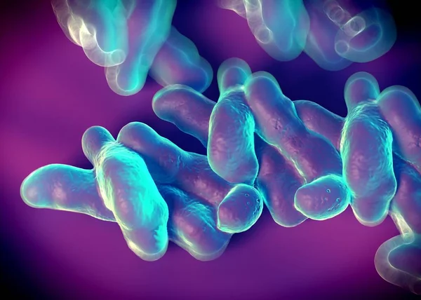 Renderowanie Bakterie Campylobacter Jejuni — Zdjęcie stockowe