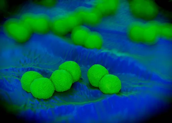 Renderização Bactérias Neisseria Gonorrhoeae — Fotografia de Stock