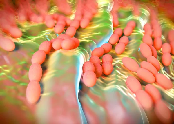 3D görüntüleme - asetobacter bakteri