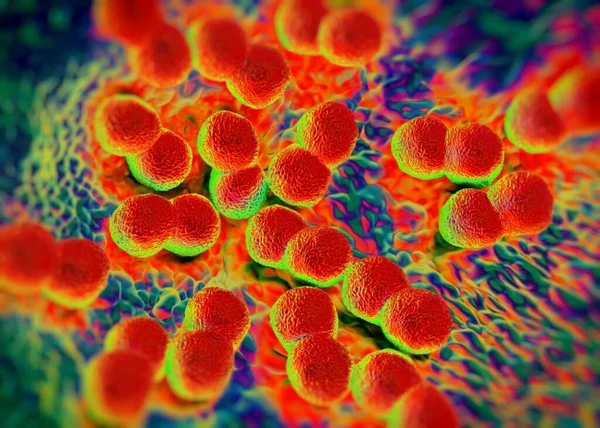 Renderização Bactérias Neisseria Gonorrhoeae — Fotografia de Stock