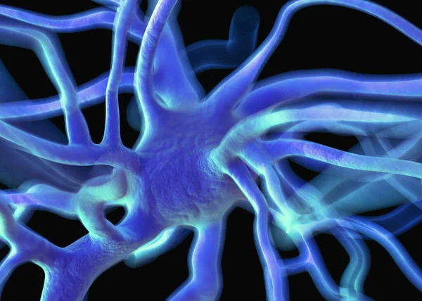 Sinir sisteminin bir kısmını oluşturan nöron veya sinir hücreleri elektriksel ve kimyasal sinyallerle bilgi iletir ve işler..