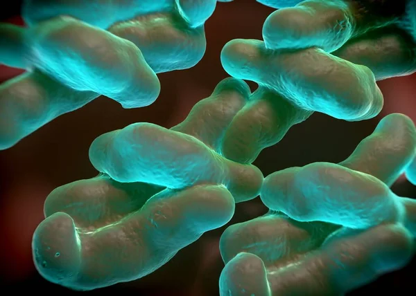 Rendering Campylobacter Jejuni Bacteriën — Stockfoto