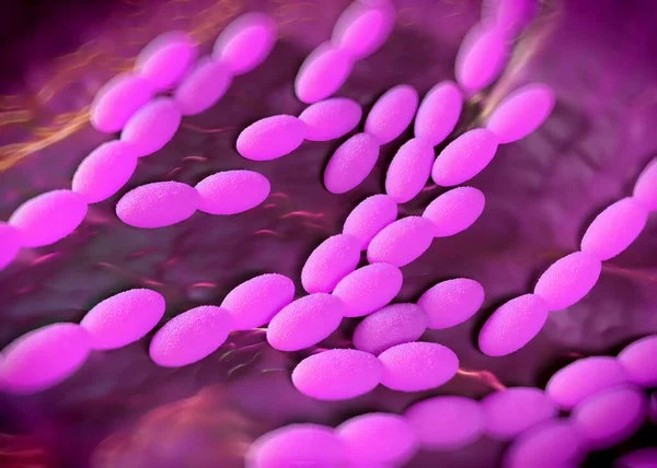 Rendu Bactéries Acétobacter — Photo