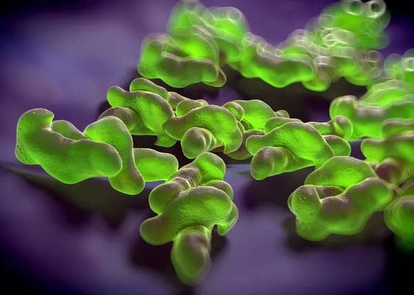 Rendering Batteri Campylobacter Jejuni — Foto Stock
