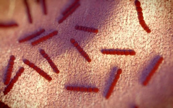 Streptococcus pneumoniae, Gram-pozitif koküs şekilli patojenik bakteridir ve zatürreye ek olarak pnömokok enfeksiyonlarına neden olur. .