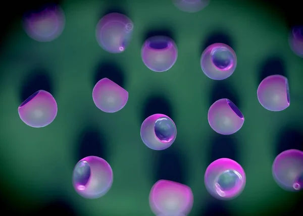 Rendu Cellules Bactériennes — Photo