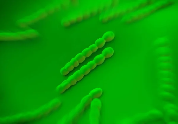 Streptococcus Pneumoniae Bakteri Sanat — Stok fotoğraf