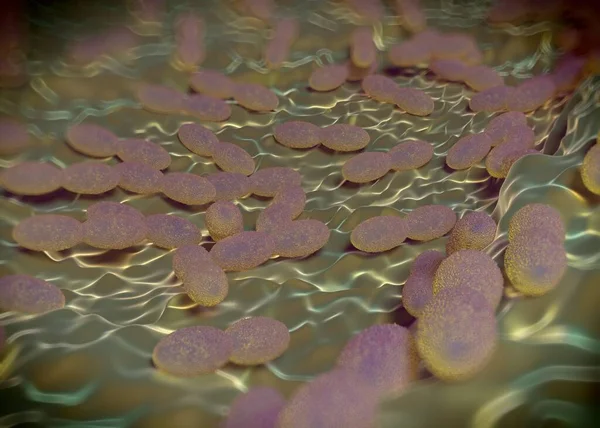 Rendering Acetobacter Bacteria — Stock Photo, Image