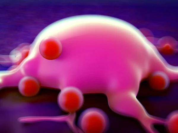 Yağ hücrelerine yakın çekim