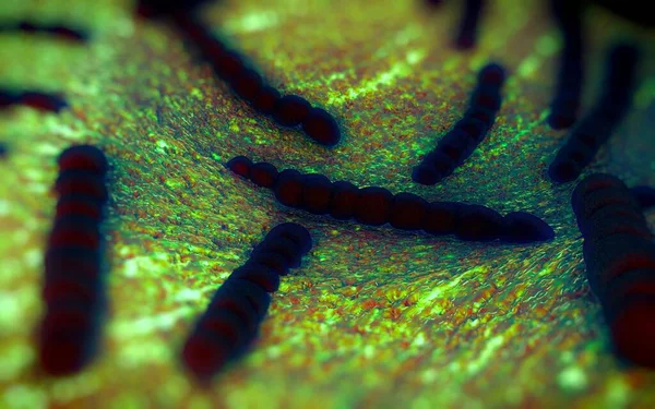 Стрептококова Пневмонія Або Пневмокок Патогенні Бактерії Формі Грам Позитиву Які — стокове фото