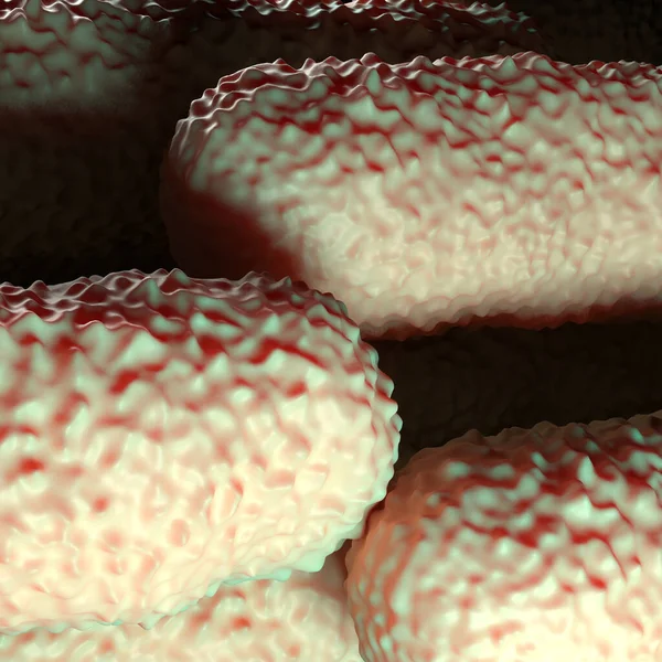 Bakteri hücrelerinin gösterimi