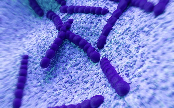 Streptococcus Pneumoniae Bakteri Sanat — Stok fotoğraf