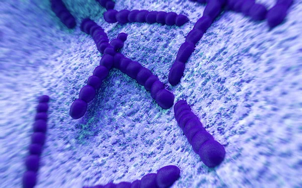Streptococcus pneumoniae, bakteri sanat
