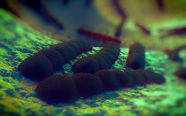 Streptococcus pneumoniae, Gram-pozitif koküs şekilli patojenik bakteridir ve zatürreye ek olarak pnömokok enfeksiyonlarına neden olur. .