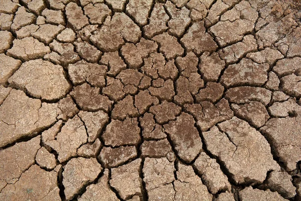 Kuru toprakta çatlaklar