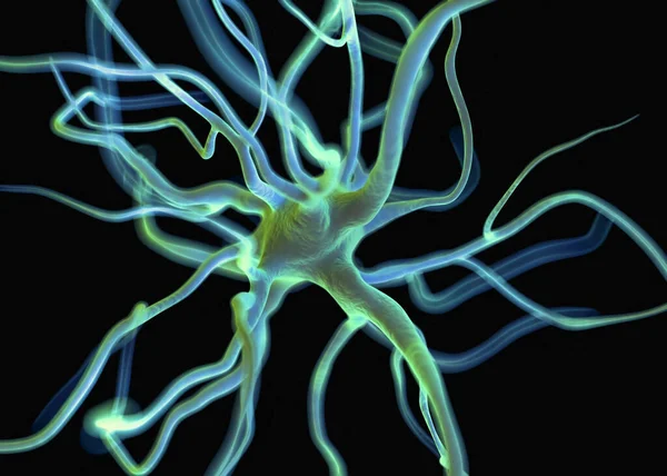 3d Hazırlama - Etkin sinir hücreleri