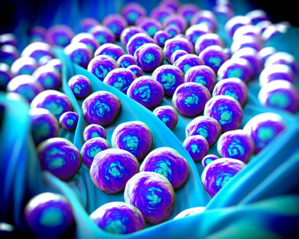 Staphylococcus Aureus Resistente Meticilina Mrsa Superbug Una Bacteria Responsable Varias —  Fotos de Stock