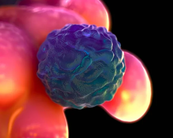 3d illustration - Foetal Blood Stem Cell