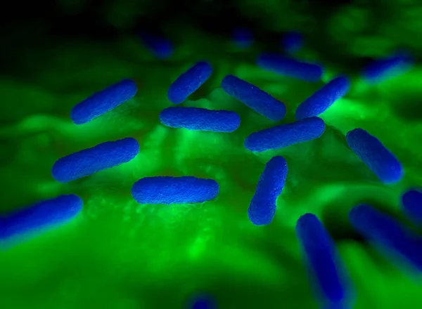 Close Bactérias Salmonella Typhimurium — Fotografia de Stock