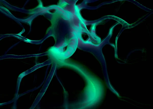 Idegrendszer Részét Képező Idegsejtek Vagy Idegsejtek Amelyek Elektromos Kémiai Jelzéssel — Stock Fotó
