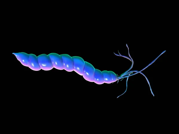Helicobacter Pylori Bakterisine Yakın Çekim — Stok fotoğraf