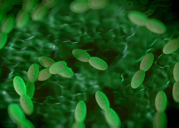 3D görüntüleme - asetobacter bakteri