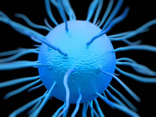 Neisseria Gonorrhoeae Bacteria Artwork — Stock Photo, Image