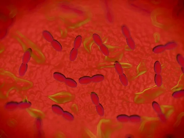 Rendering Βακτήρια Acetobacter — Φωτογραφία Αρχείου
