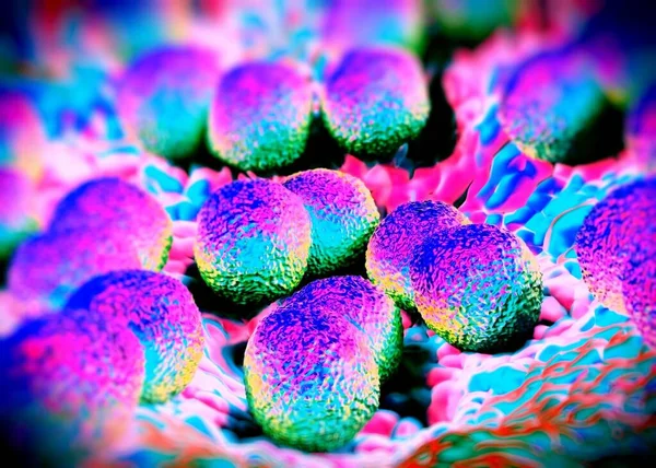 Renderização Bactérias Neisseria Gonorrhoeae — Fotografia de Stock