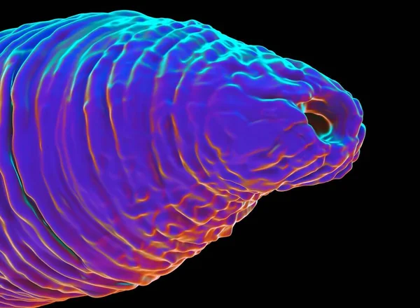 Kafkasya iltihabı C. Solucan.