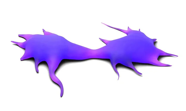 3d görüntüleme - dendritik hücre 